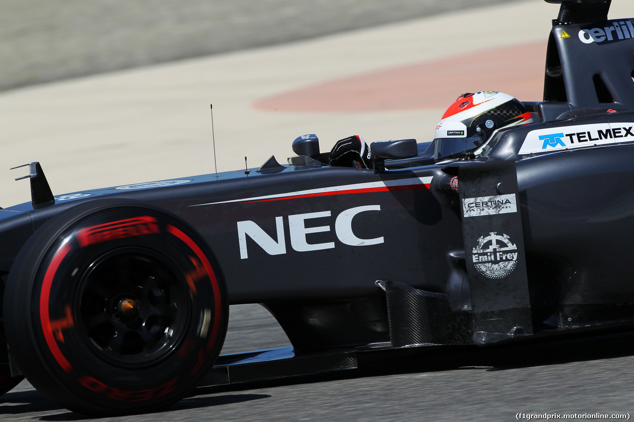TEST F1 BAHRAIN 02 MARZO, Adrian Sutil (GER) Sauber C33.
02.03.2014. Formula One Testing, Bahrain Test Two, Day Four, Sakhir, Bahrain.