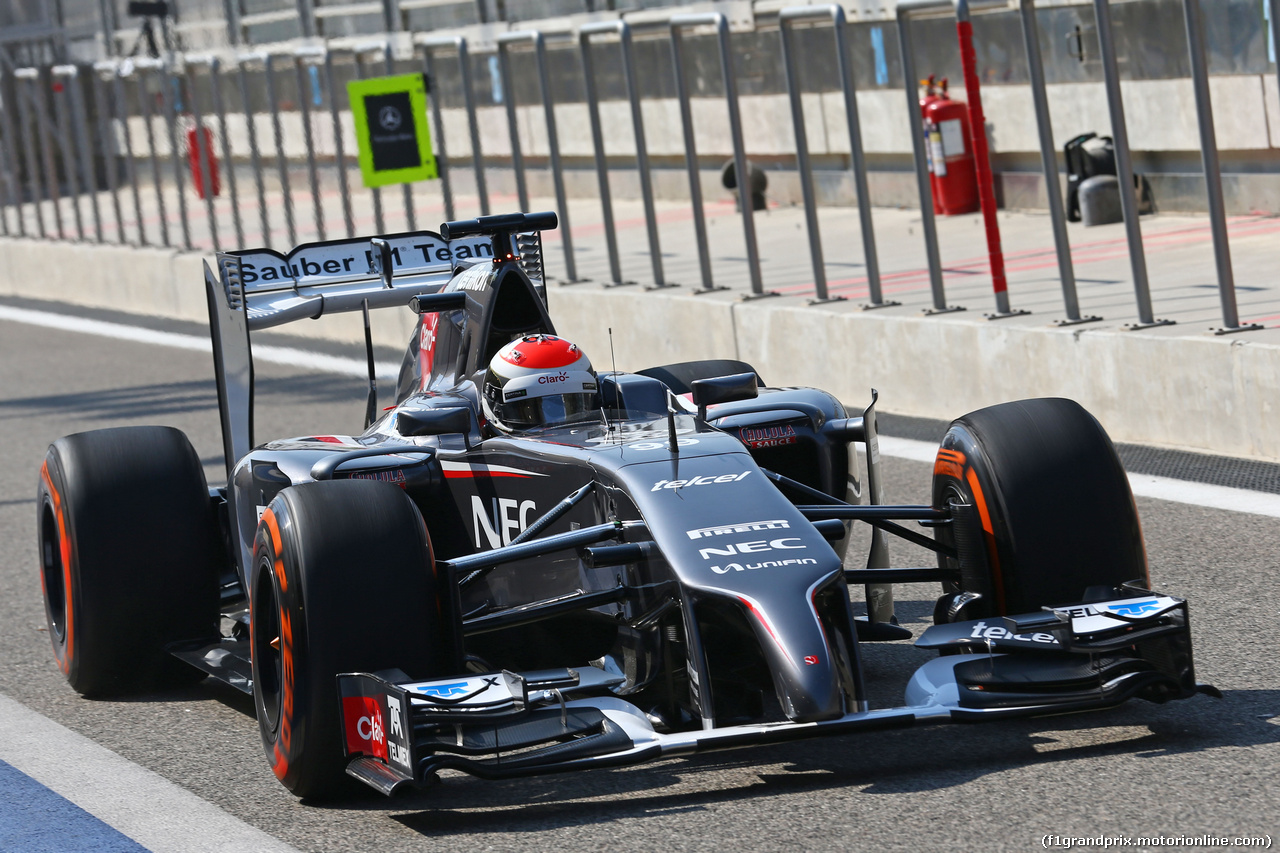 TEST F1 BAHRAIN 19 FEBBRAIO, Adrian Sutil (GER) Sauber C33.
19.02.2014. Formula One Testing, Bahrain Test One, Day One, Sakhir, Bahrain.