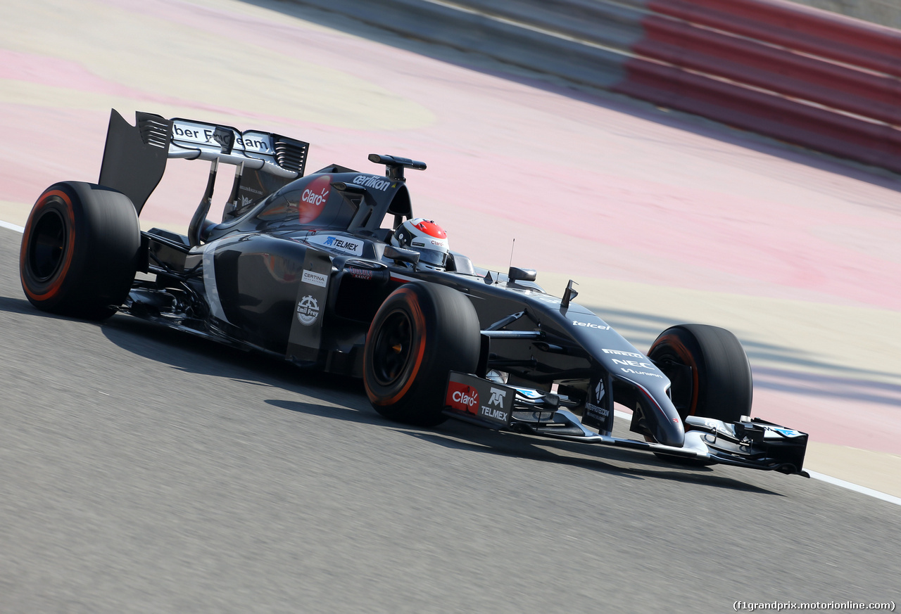TEST F1 BAHRAIN 19 FEBBRAIO, Adrian Sutil (GER), Sauber F1 Team 
19.02.2014. Formula One Testing, Bahrain Test One, Day One, Sakhir, Bahrain.