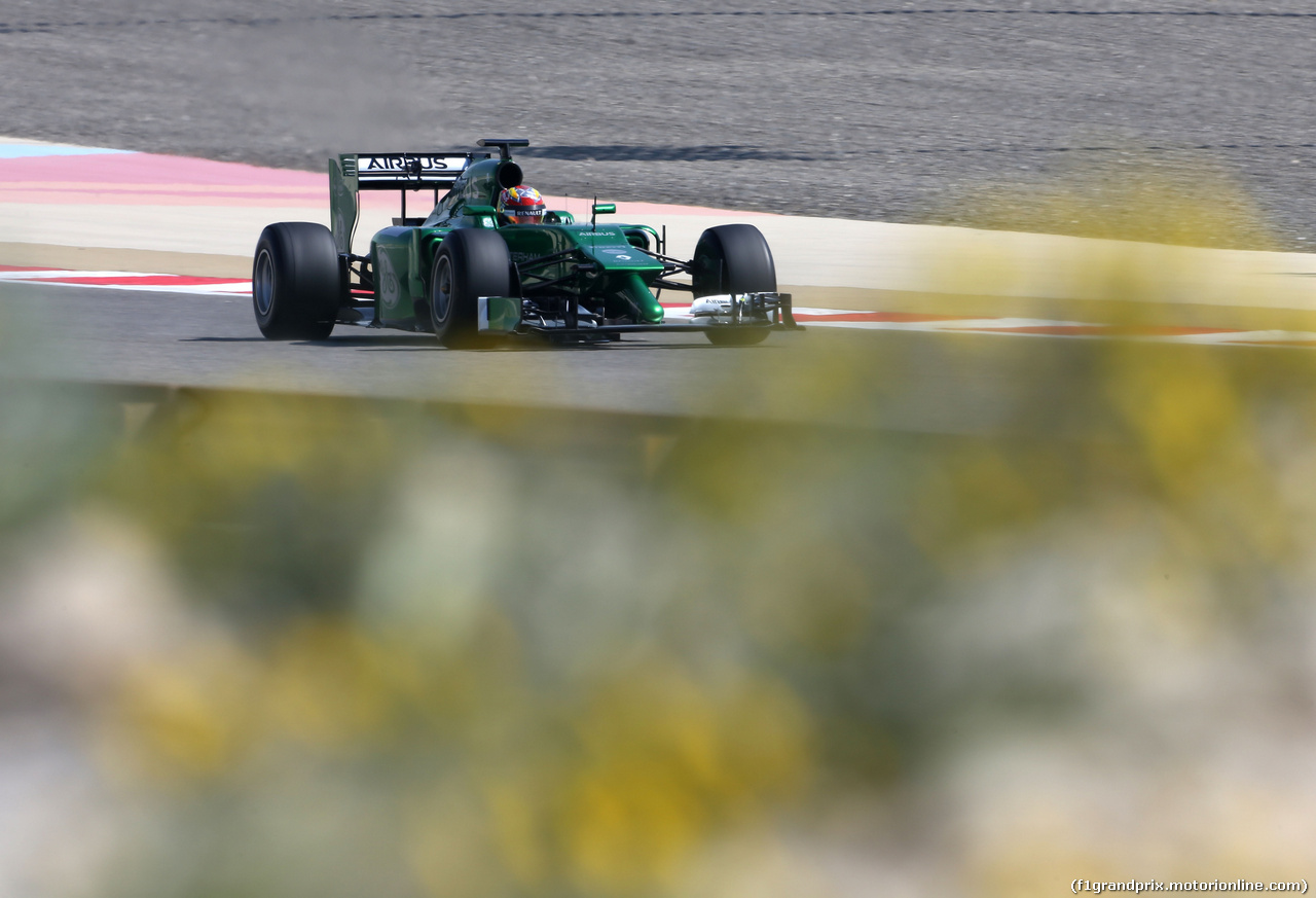 TEST F1 BAHRAIN 19 FEBBRAIO, Robin Frijns (NL), Third Driver, Caterham F1 Team 
19.02.2014. Formula One Testing, Bahrain Test One, Day One, Sakhir, Bahrain.