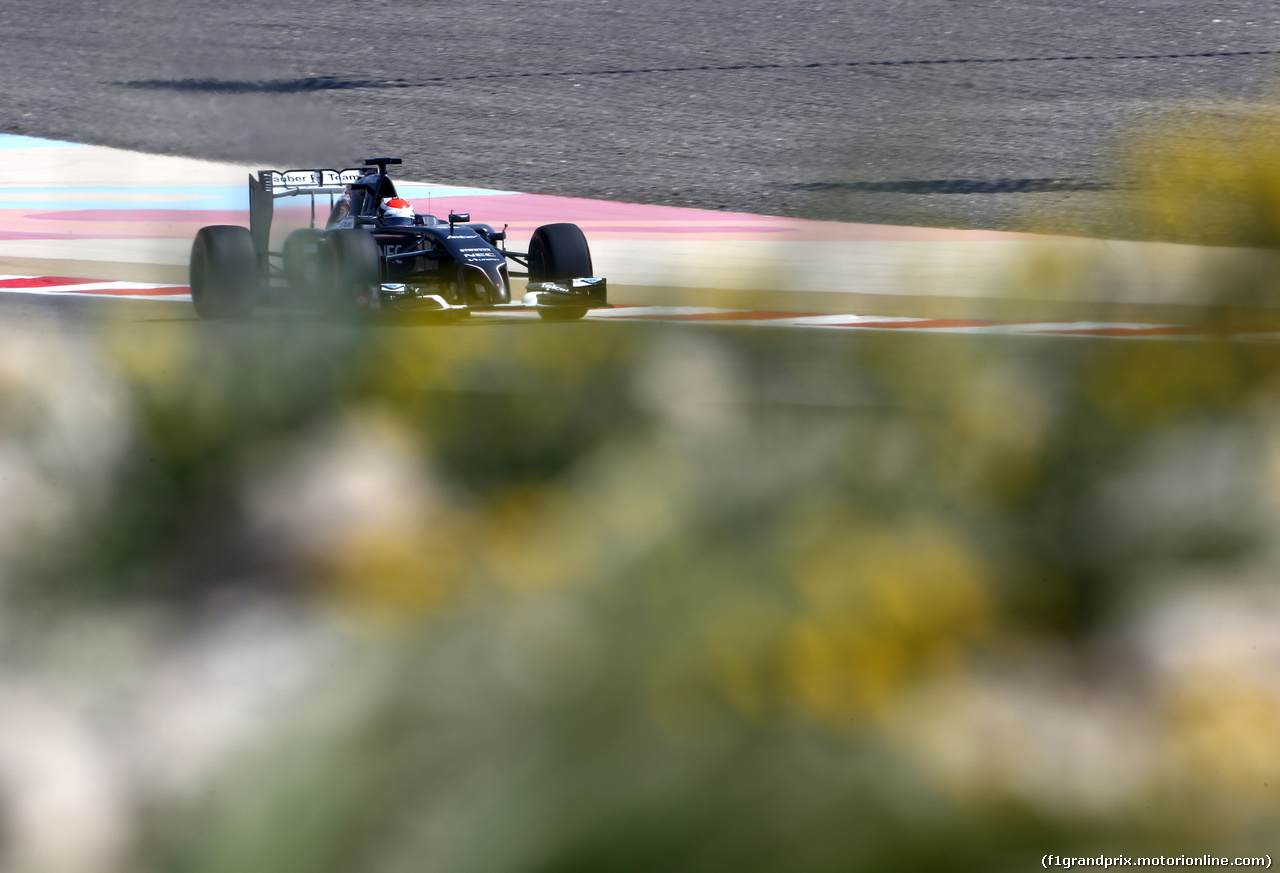 TEST F1 BAHRAIN 19 FEBBRAIO, Adrian Sutil (GER), Sauber F1 Team 
19.02.2014. Formula One Testing, Bahrain Test One, Day One, Sakhir, Bahrain.