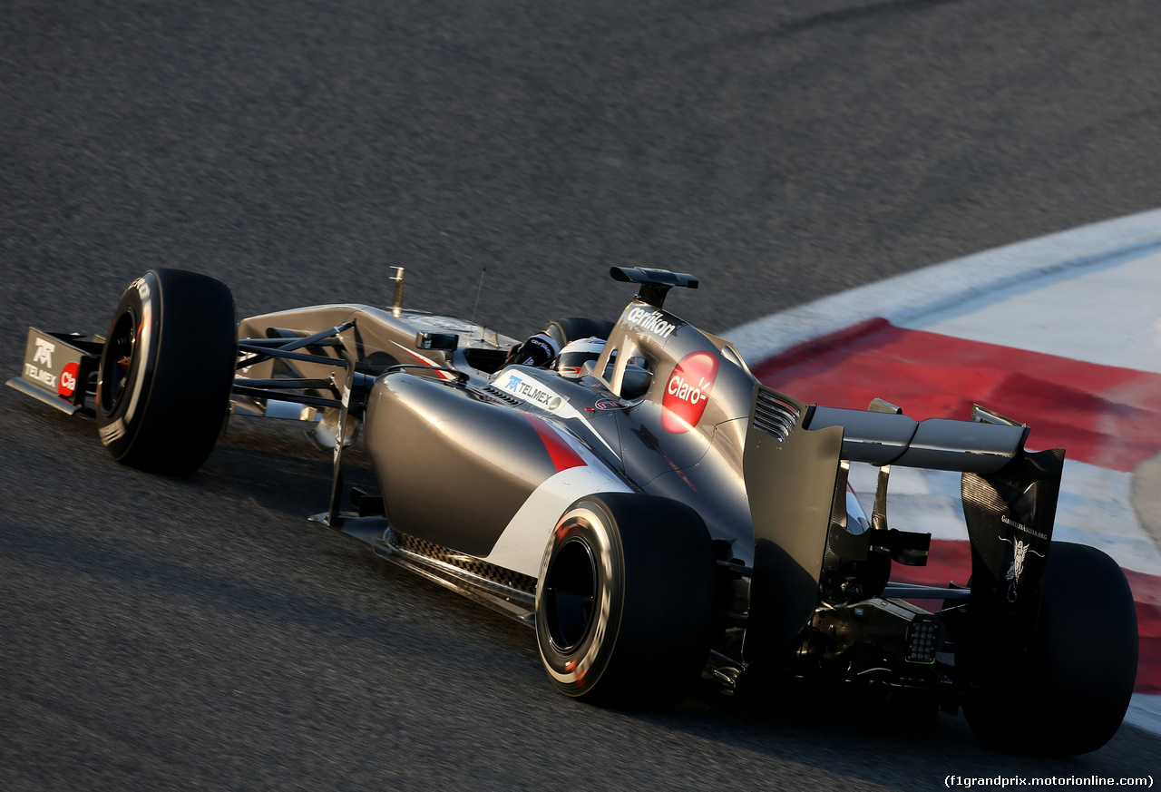 TEST F1 BAHRAIN 19 FEBBRAIO, Adrian Sutil (GER), Sauber F1 Team 
19.02.2014. Formula One Testing, Bahrain Test One, Day One, Sakhir, Bahrain.
