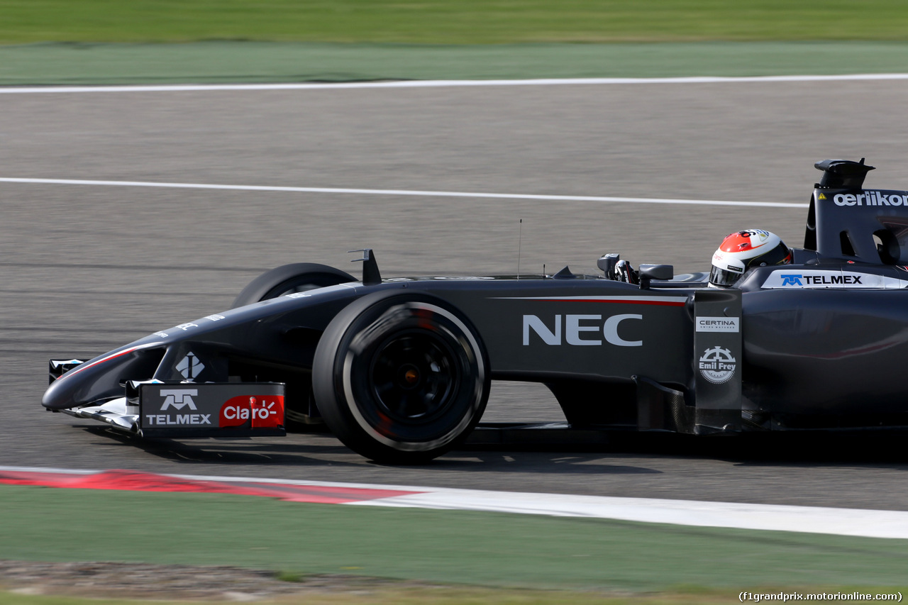 TEST F1 BAHRAIN 27 FEBBRAIO, Adrian Sutil (GER), Sauber F1 Team 
27.02.2014. Formula One Testing, Bahrain Test Two, Day One, Sakhir, Bahrain.