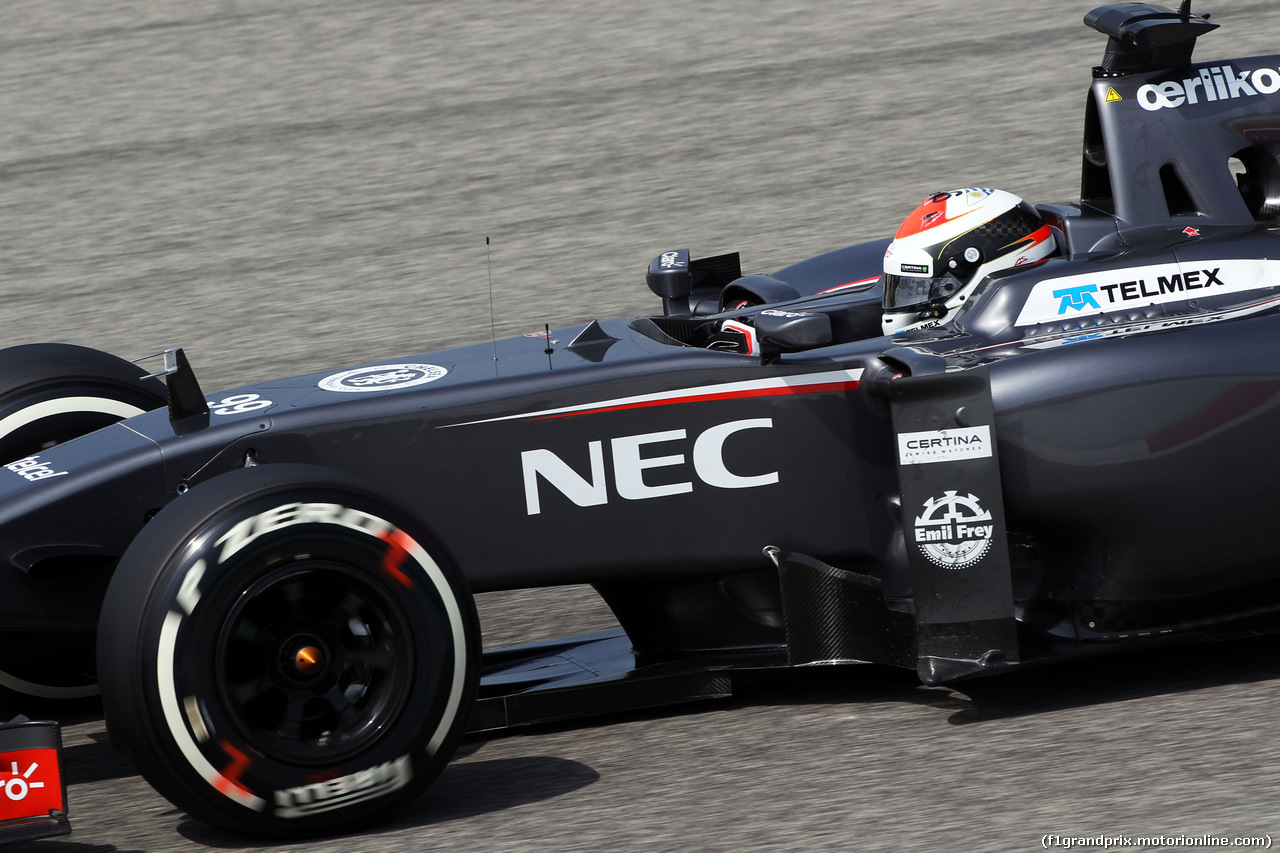 TEST F1 BAHRAIN 27 FEBBRAIO, Adrian Sutil (GER) Sauber C33.
27.02.2014. Formula One Testing, Bahrain Test Two, Day One, Sakhir, Bahrain.