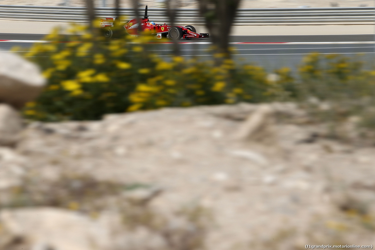 TEST F1 BAHRAIN 28 FEBBRAIO, Fernando Alonso (ESP), Ferrari 
28.02.2014. Formula One Testing, Bahrain Test Two, Day Two, Sakhir, Bahrain.