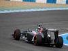 TEST F1 JEREZ 28 GENNAIO, Esteban Gutierrez (MEX), Sauber F1 Team C33