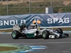 TEST F1 JEREZ 28 GENNAIO, Lewis Hamilton (GBR) Mercedes AMG F1 W05