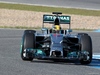 TEST F1 JEREZ 28 GENNAIO, Lewis Hamilton (GBR) Mercedes AMG F1 W05