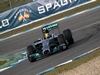 TEST F1 JEREZ 28 GENNAIO, Lewis Hamilton (GBR) Mercedes AMG F1 W05