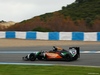 TEST F1 JEREZ 28 GENNAIO, Sergio Perez (MEX) Sahara Force India F1 VJM07