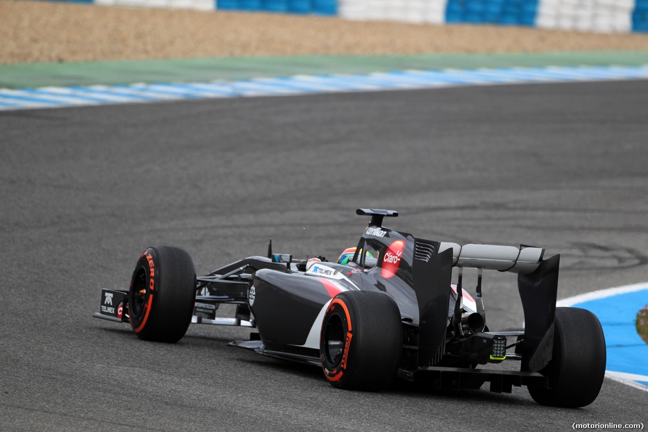 TEST F1 JEREZ 28 GENNAIO, Esteban Gutierrez (MEX), Sauber F1 Team C33