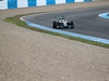 TEST F1 JEREZ 28 GENNAIO, Lewis Hamilton (GBR) Mercedes AMG F1 W05
