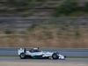TEST F1 JEREZ 28 GENNAIO, Lewis Hamilton (GBR) Mercedes AMG F1 W05