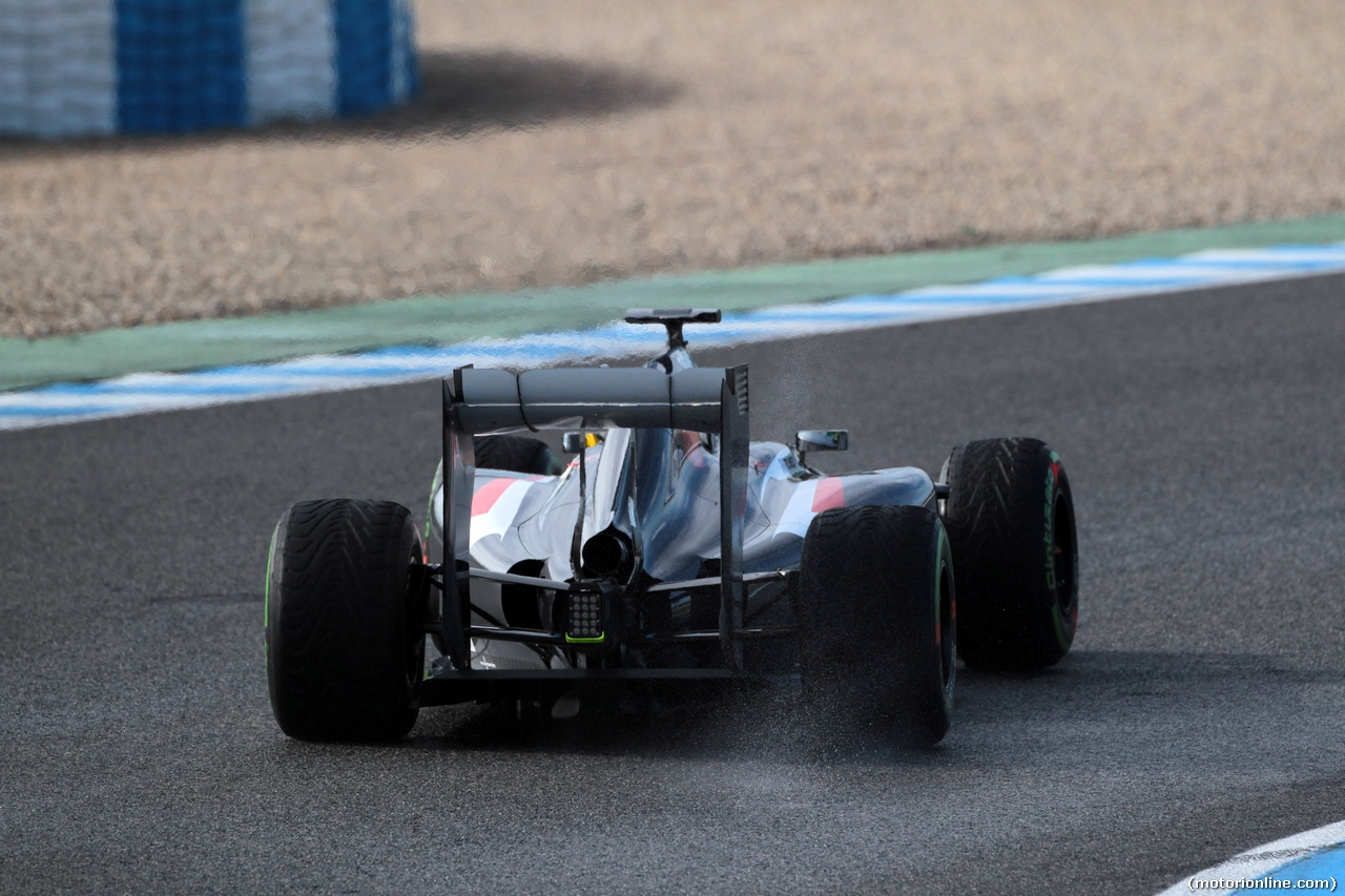 TEST F1 JEREZ 29 GENNAIO, 29.01.2014- Esteban Gutierrez (MEX), Sauber F1 Team C33