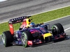 TEST F1 JEREZ 29 GENNAIO, Sebastian Vettel (GER) Red Bull Racing RB10.
29.01.2014. Formula One Testing, Day Two, Jerez, Spain.