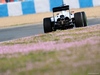 TEST F1 JEREZ 29 GENNAIO, Jenson Button (GBR) McLaren MP4-29.
29.01.2014. Formula One Testing, Day Two, Jerez, Spain.