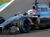 TEST F1 JEREZ 29 GENNAIO, 29.01.2014- Jenson Button (GBR) McLaren Mercedes MP4-29
