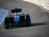 TEST F1 JEREZ 30 GENNAIO, Felipe Massa (BRA) Williams FW36.
30.01.2014. Formula One Testing, Day Three, Jerez, Spain.