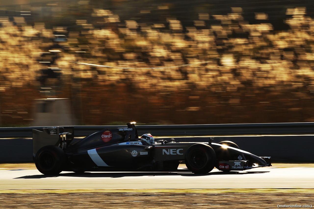 TEST F1 JEREZ 30 GENNAIO, Adrian Sutil (GER) Sauber C33.
30.01.2014. Formula One Testing, Day Three, Jerez, Spain.