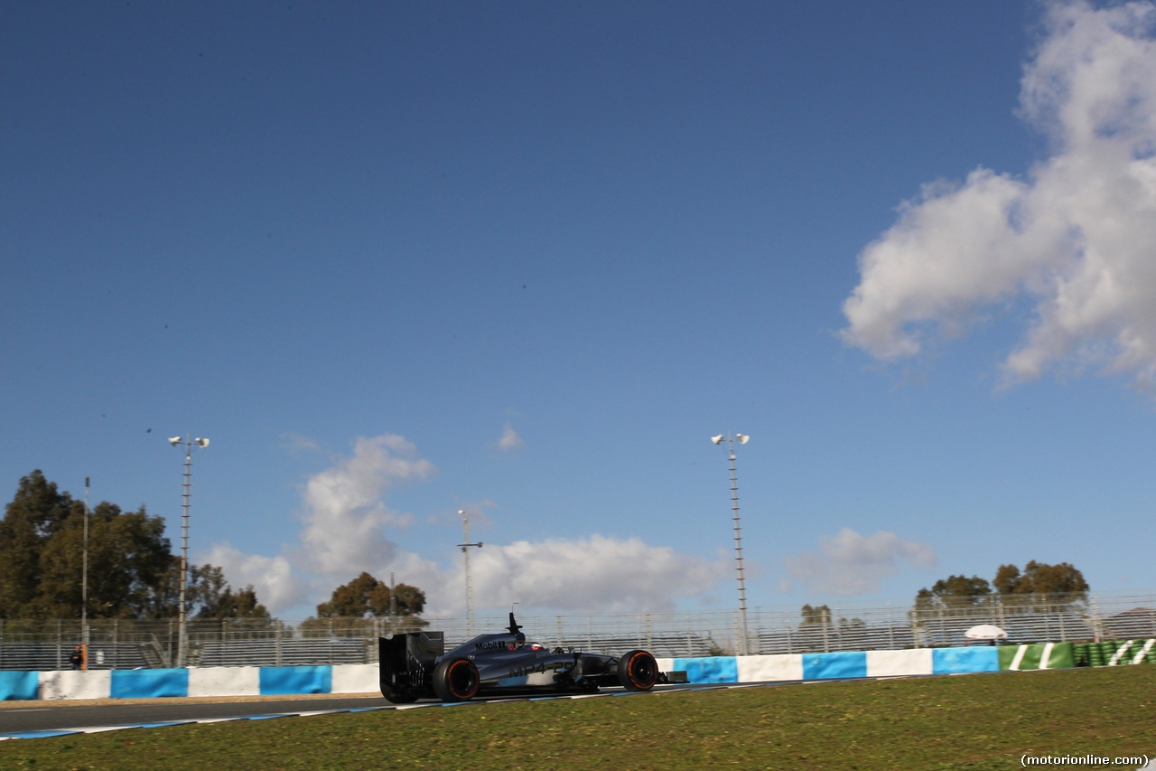 TEST F1 JEREZ 30 GENNAIO, 30.01.2014- Adrian Sutil (GER) Sauber F1 Team C33