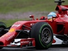 TEST F1 JEREZ 31 GENNAIO, 31.01.2014- Fernando Alonso (ESP) Ferrari F14-T