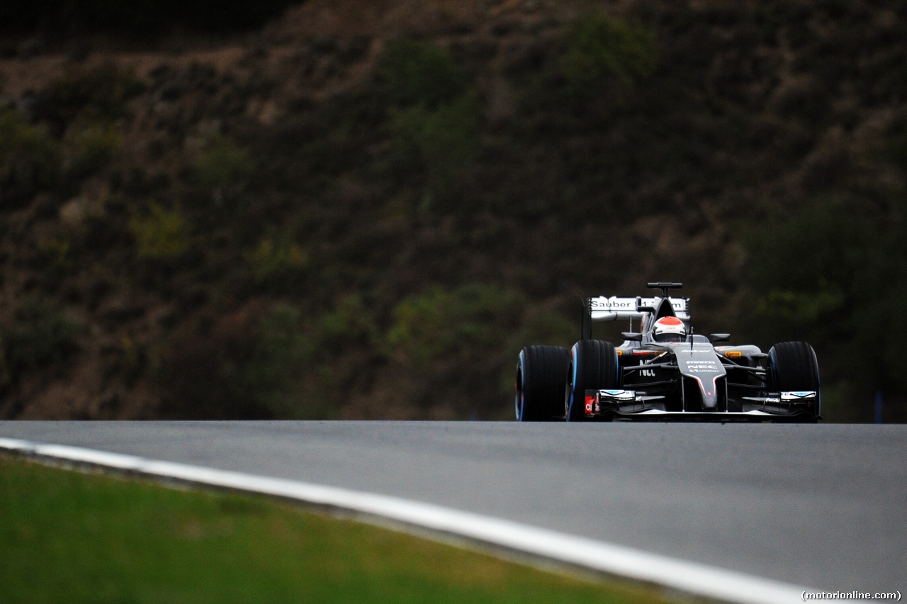 TEST F1 JEREZ 31 GENNAIO, Adrian Sutil (GER) Sauber C33.
31.01.2014. Formula One Testing, Day Four, Jerez, Spain.
