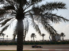 GP ABU DHABI - Qualifiche e Prove Libere 3