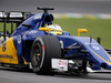 GP BRASILE, 13.11.2015 - Free Practice 1, Marcus Ericsson (SUE) Sauber C34