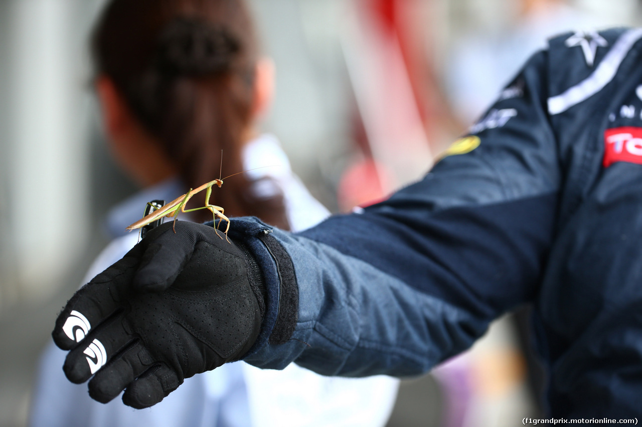 GP GIAPPONE, 25.09.2015 - Prove Libere 1, Atmosfera