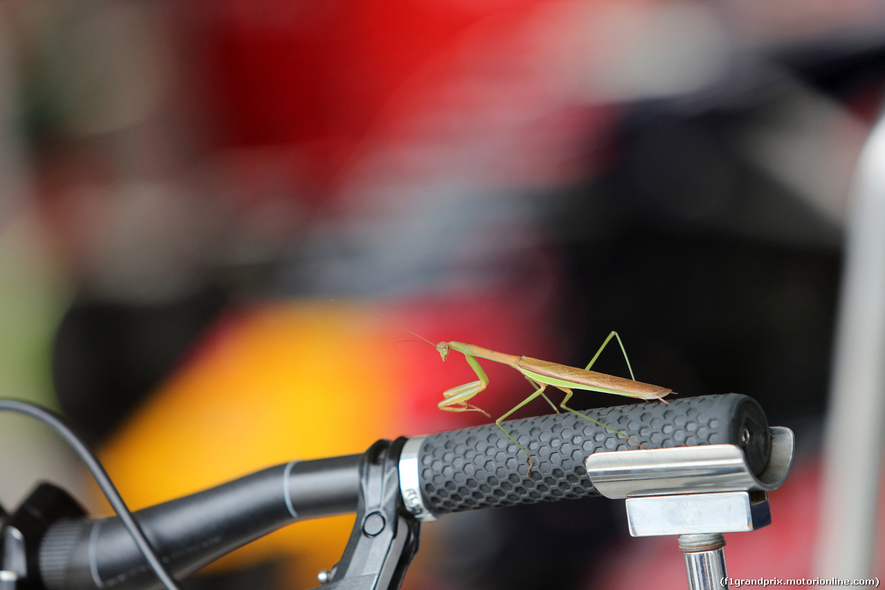 GP GIAPPONE, 25.09.2015 - Prove Libere 1, Atmosfera