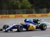 GP MESSICO, 31.10.2015- Free Practice 3, Felipe Nasr (BRA) Sauber C34