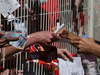 GP MONACO, 20.05.2015- Fans