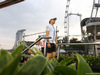 GP SINGAPORE, 20.09.2015 - Nico Rosberg (GER) Mercedes AMG F1 W06