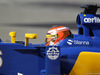 GP SPAGNA, 08.02.2015- Free Practice 1, Raffaele Marciello (ITA) Sauber C34 developing e deserve driver
