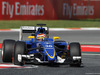 GP SPAGNA, 08.02.2015- Free Practice 1, Raffaele Marciello (ITA) Sauber C34 developing e deserve driver