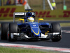 GP UNGHERIA, 24.07.2015 - Free Practice 1, Marcus Ericsson (SUE) Sauber C34