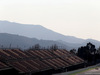 TEST F1 BARCELLONA 19 FEBBRAIO, Felipe Nasr (BRA), Sauber F1 Team 
19.02.2015.