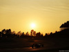 TEST F1 BARCELLONA 19 FEBBRAIO, Max Verstappen (NLD) Scuderia Toro Rosso STR10.
19.02.2015.