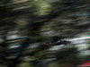 TEST F1 BARCELLONA 28 FEBBRAIO, Nico Hulkenberg (GER) Sahara Force India F1 VJM08.
28.02.2015.