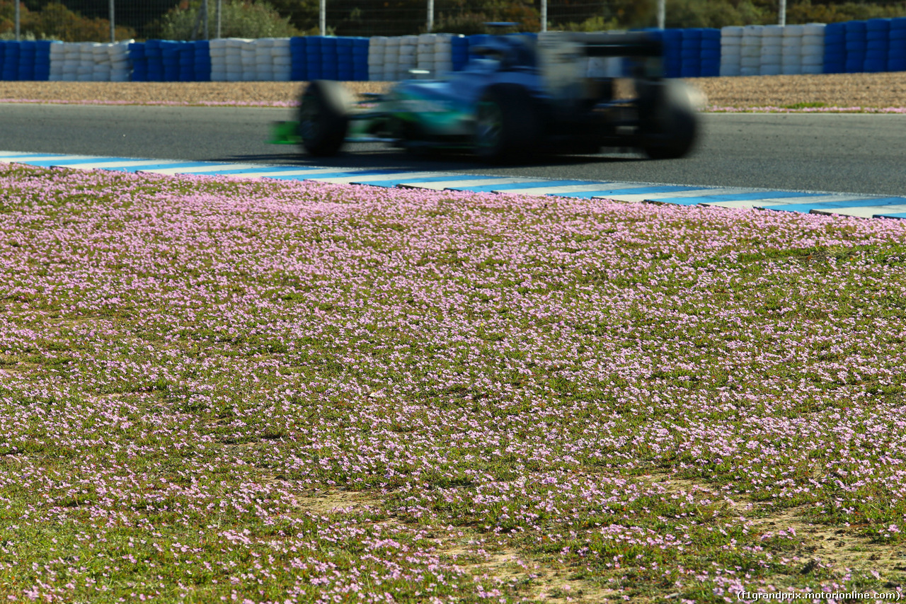TEST F1 JEREZ 1 FEBBRAIO, Nico Rosberg (GER) Mercedes AMG F1 W06.
01.02.2015.