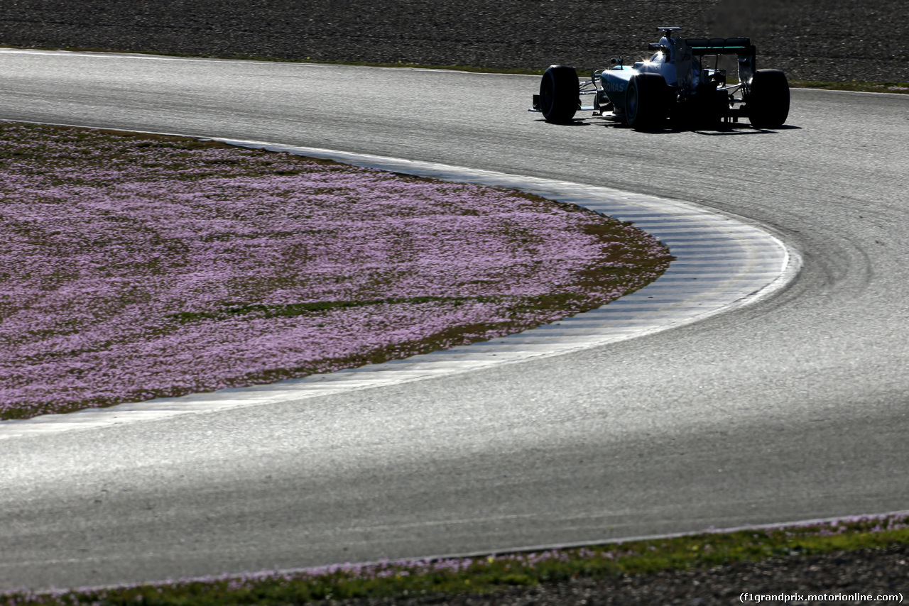 TEST F1 JEREZ 1 FEBBRAIO