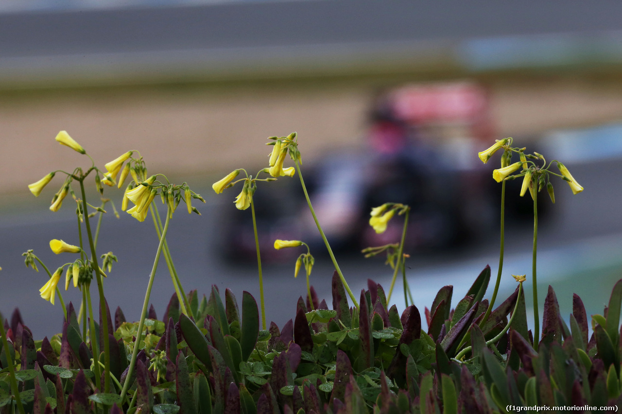 TEST F1 JEREZ 2 FEBBRAIO, Max Verstappen (NLD) Scuderia Toro Rosso STR10.
02.02.2015.