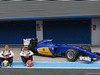 TEST F1 JEREZ 3 FEBBRAIO, (L to R): Marcus Ericsson (SWE) Sauber F1 Team e Felipe Nasr (BRA) Sauber C34.
03.02.2015.