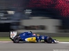 GP ABU DHABI, 25.11.2016 - Free Practice 2, Felipe Nasr (BRA) Sauber C34