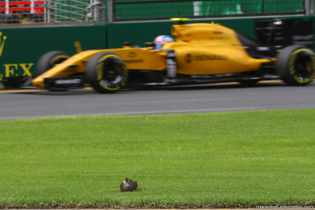 GP AUSTRALIA, 19.03.2016 - Prove Libere 3, Jolyon Palmer (GBR) Renault Sport F1 Team RS16