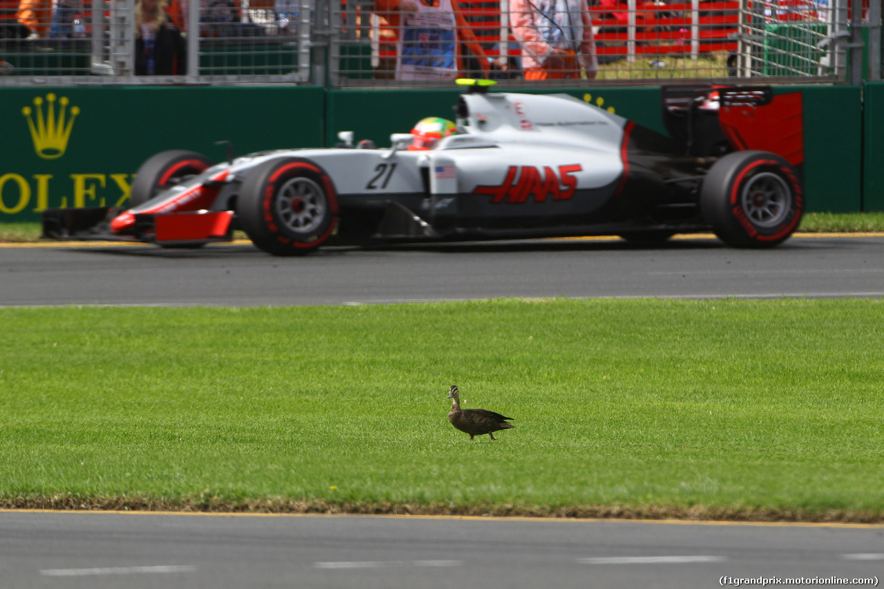 GP AUSTRALIA, 19.03.2016 - Prove Libere 3, Esteban Gutierrez (MEX) Haas F1 Team VF-16