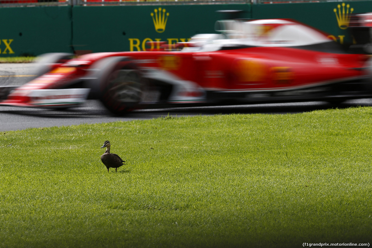 GP AUSTRALIA, 19.03.2016 - Prove Libere 3, Sebastian Vettel (GER) Ferrari SF16-H