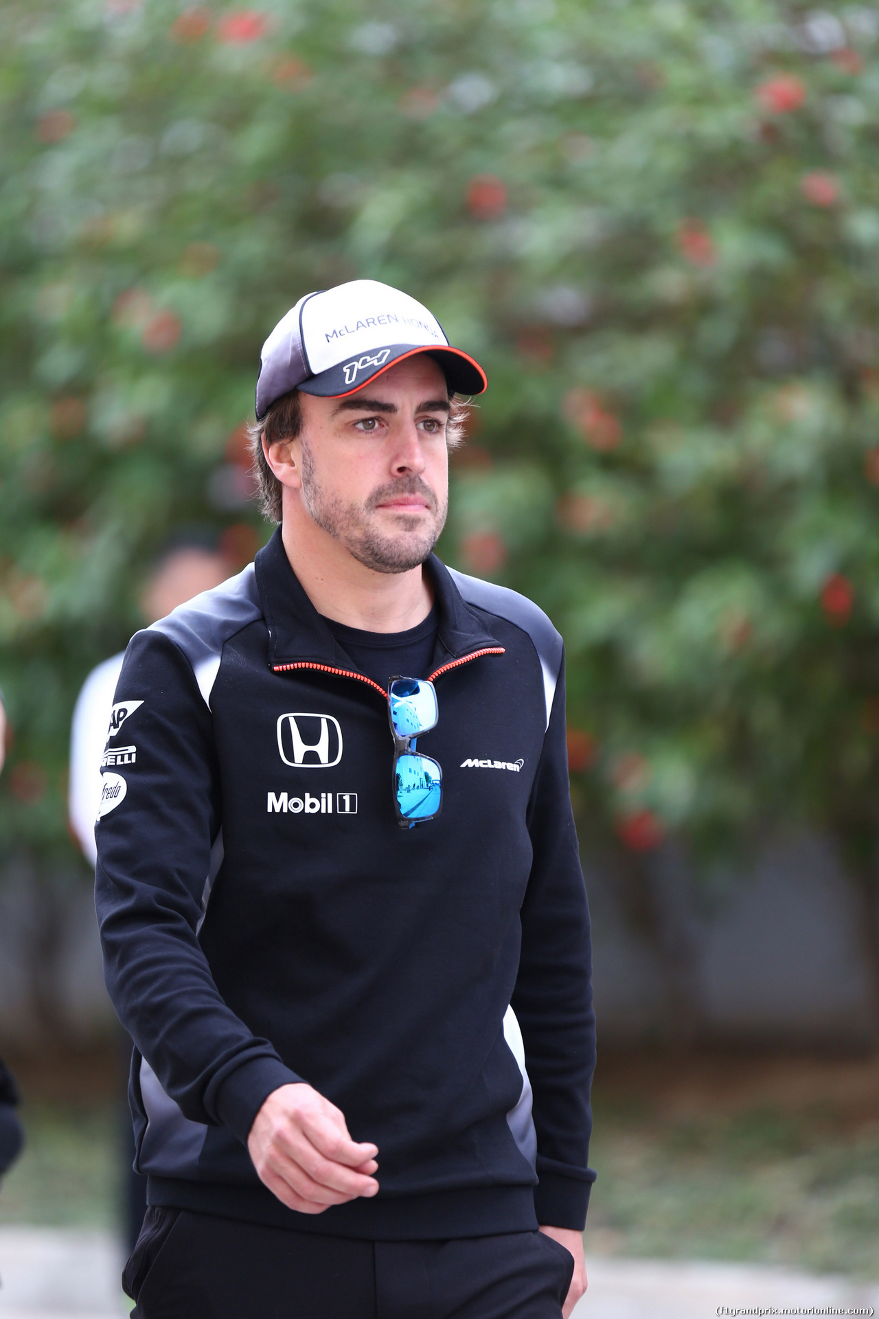 GP BAHRAIN, 31.03.2016 - Fernando Alonso (ESP) McLaren Honda MP4-31