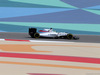 GP BAHRAIN, 01.04.2016 - Free Practice 1, Felipe Massa (BRA) Williams FW38