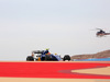 GP BAHRAIN, 01.04.2016 - Free Practice 1, Felipe Nasr (BRA) Sauber C34